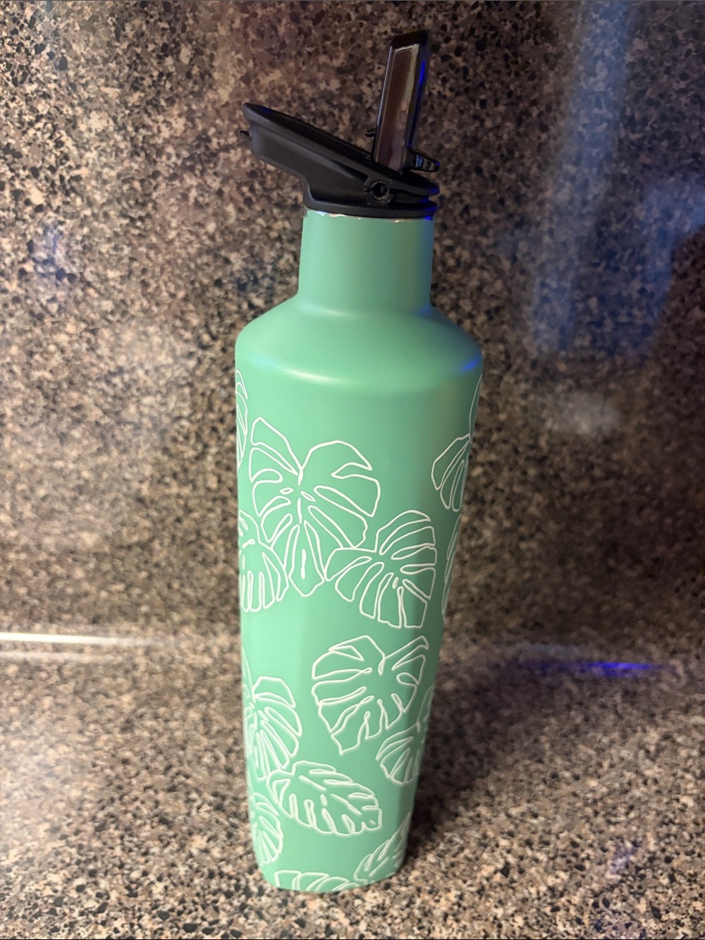 Brumate Monstera Special Edition Rehydration Bottle 25 Ounces - Picture 4 of 8